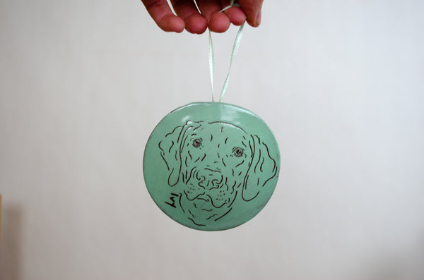 Smooth Edge Ornament - Seafoam