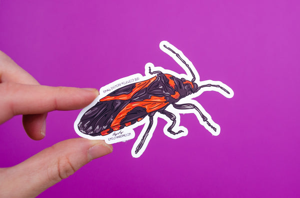 Sticker: Small Eastern Milkweed Bug