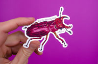 Sticker: Reddish Brown Stag Beetle
