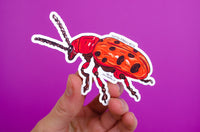 Sticker: Spotted Asparagus Beetle