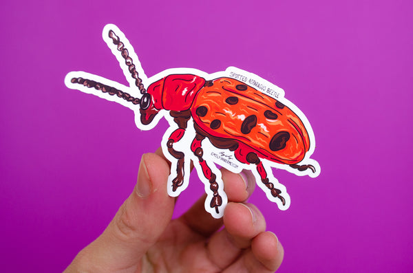Sticker: Spotted Asparagus Beetle