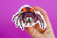 PRE ORDER Sticker: Jumping Spider #1