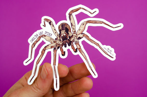 Sticker: Carolina Wolf Spider