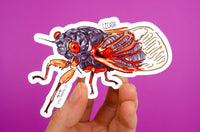 Sticker: Brood X Cicada