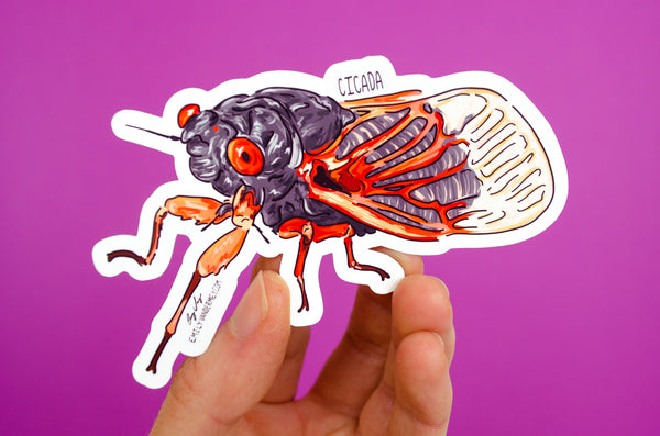 PRE ORDER Sticker: Brood X Cicada