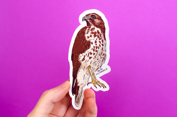 Sticker: Hawk