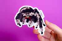 Sticker: Jumping Spider #3