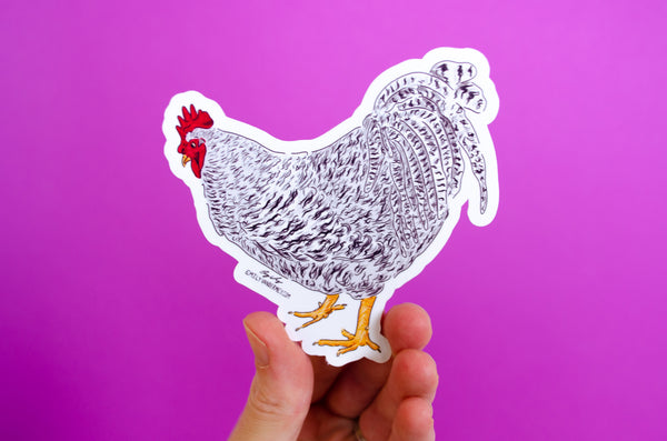Sticker: Barred Rock Rooster